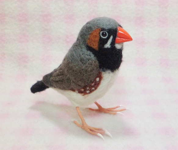 ***現實大小♪斑马雀　斑馬雀　Zebra finch☆羊毛氈*** 第5張的照片