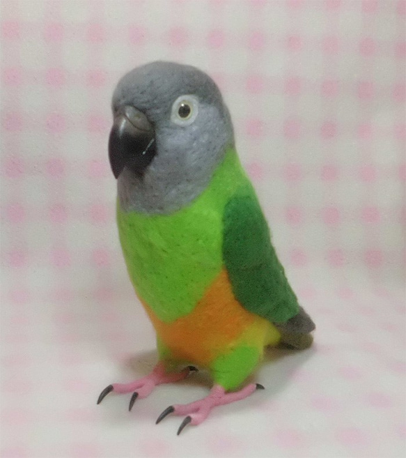 【羊毛フェルト】セネガルパロット　鳥 羊毛フェルト】セネガルパロット 鳥