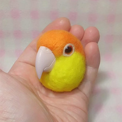 シロハラインコ☆マグネット/ブローチどちらか選択 受注作成　羊毛フェルト　羊毛インコ　メモリアル　工房小鳥屋さん 2枚目の画像