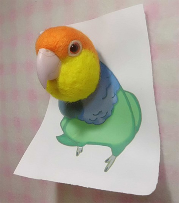 シロハラインコ☆マグネット/ブローチどちらか選択 受注作成　羊毛フェルト　羊毛インコ　メモリアル　工房小鳥屋さん 3枚目の画像