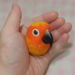 ライフサイズ♪ セキセイインコ アルビノ（濃い赤目） 羊毛
