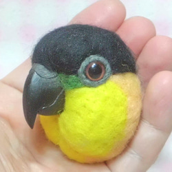 黒頭鸚鵡☆夾＆胸針☆羊毛氈***Black-headed Caique ★ clip & brooch 第1張的照片