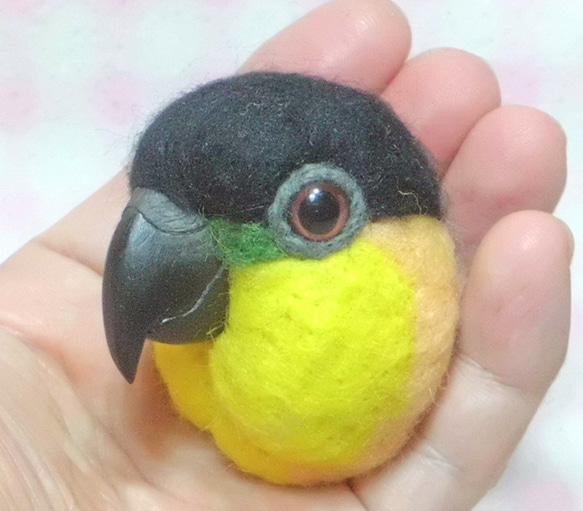 黒頭鸚鵡☆夾＆胸針☆羊毛氈***Black-headed Caique ★ clip & brooch 第1張的照片