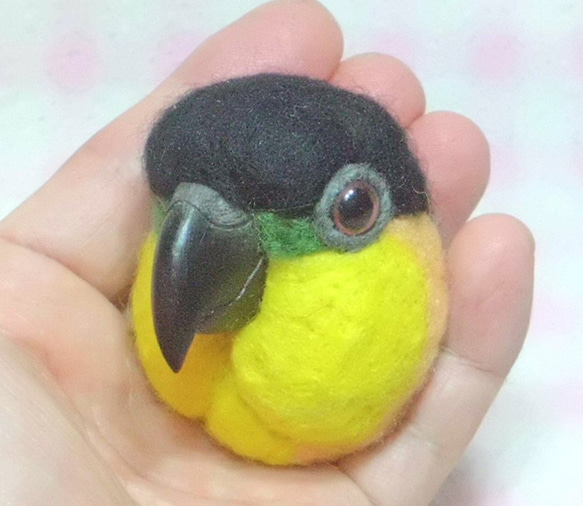 黒頭鸚鵡☆夾＆胸針☆羊毛氈***Black-headed Caique ★ clip & brooch 第2張的照片