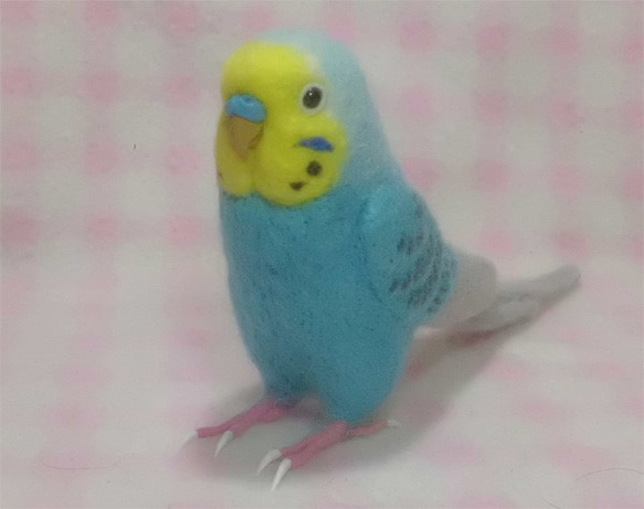 ライフサイズ♪ セキセイインコ レインボー ブルー　鼻の色変更可能　羊毛フェルト　受注作成　羊毛インコ　ケンソン系 1枚目の画像