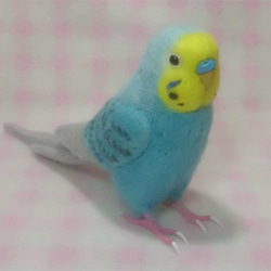 ライフサイズ♪ セキセイインコ レインボー ブルー　鼻の色変更可能　羊毛フェルト　受注作成　羊毛インコ　ケンソン系 2枚目の画像