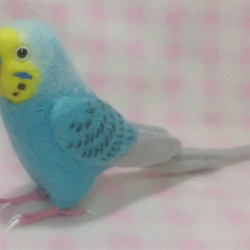 ライフサイズ♪ セキセイインコ レインボー ブルー　鼻の色変更可能　羊毛フェルト　受注作成　羊毛インコ　ケンソン系 3枚目の画像