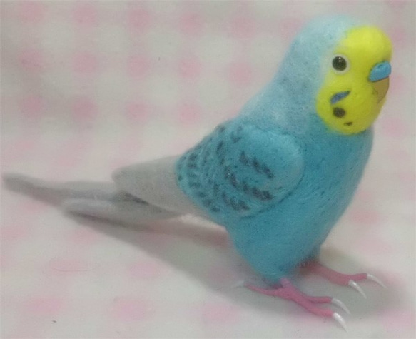 ライフサイズ♪ セキセイインコ レインボー ブルー　鼻の色変更可能　羊毛フェルト　受注作成　羊毛インコ　ケンソン系 4枚目の画像