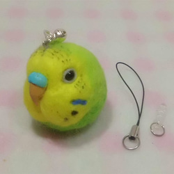 虎皮鸚鵡15★鑰匙扣/手機的魅力/耳機插孔 / Budgerigar 15★Key chain/phone charm 第3張的照片