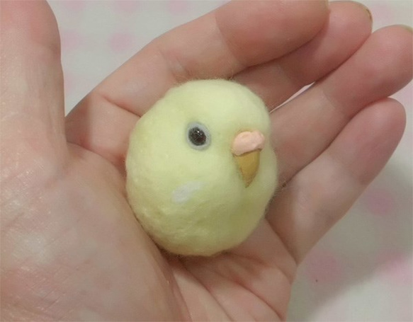 セキセイインコ プリン色ルチノー 濃赤目☆マグネット/ブローチどちらか選択 選べる鼻の色　受注作成　羊毛フェルト 1枚目の画像