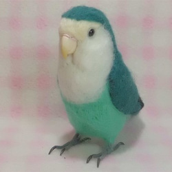 ライフサイズ♪ コザクラインコ コバルトグリーン　羊毛フェルト　羊毛インコ　羊毛ぬいぐるみ　受注作成　オーダー可能　 2枚目の画像