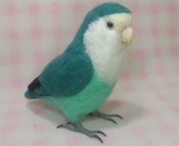 ライフサイズ♪ コザクラインコ コバルトグリーン　羊毛フェルト　羊毛インコ　羊毛ぬいぐるみ　受注作成　オーダー可能　 4枚目の画像