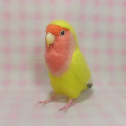 ライフサイズ コザクラインコ チェリｰ系 イエロ－　羊毛フェルト 受注作成 うちの子オーダー可能 羊毛インコ メモリアル 1枚目の画像