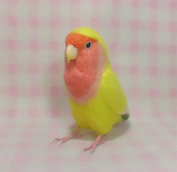 ライフサイズ コザクラインコ チェリｰ系 イエロ－　羊毛フェルト 受注作成 うちの子オーダー可能 羊毛インコ メモリアル 1枚目の画像