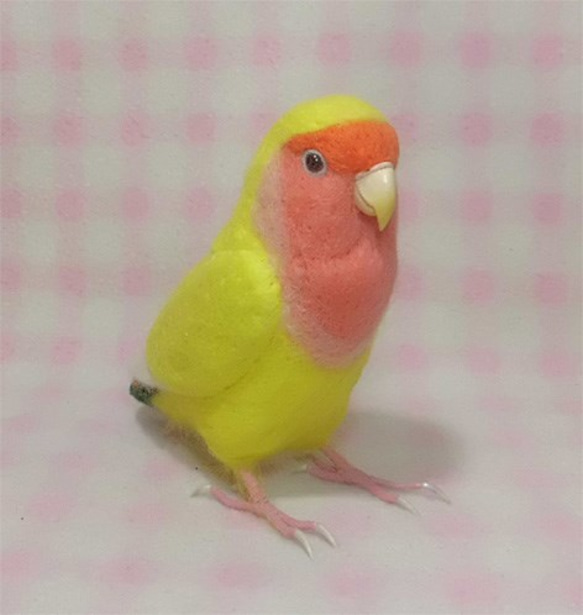 ライフサイズ コザクラインコ チェリｰ系 イエロ－　羊毛フェルト 受注作成 うちの子オーダー可能 羊毛インコ メモリアル 2枚目の画像