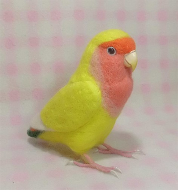 ライフサイズ コザクラインコ チェリｰ系 イエロ－　羊毛フェルト 受注作成 うちの子オーダー可能 羊毛インコ メモリアル 3枚目の画像