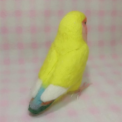 ライフサイズ コザクラインコ チェリｰ系 イエロ－　羊毛フェルト 受注作成 うちの子オーダー可能 羊毛インコ メモリアル 4枚目の画像