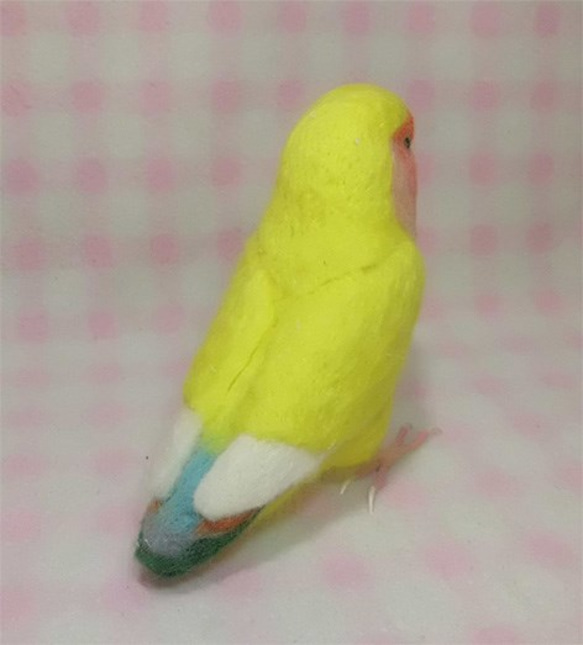 ライフサイズ コザクラインコ チェリｰ系 イエロ－　羊毛フェルト 受注作成 うちの子オーダー可能 羊毛インコ メモリアル 4枚目の画像