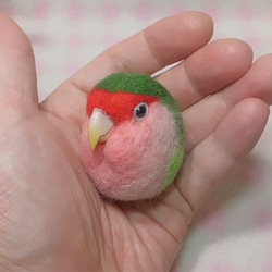 コザクラインコ ノ－マルグリ－ン ☆マグネット/ブローチ どちらか選択 受注作成　うちのこオーダー可能 羊毛フェルト 2枚目の画像