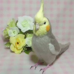 リアル！ネズミガシラインコ（セネガルパロット）羊毛フェルトインコと