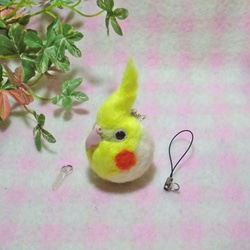 玄鳳鸚鵡（雞尾鸚鵡）01★鑰匙扣/手機的魅力/耳機插孔★cockatiel1 Key chain/phone charm 第2張的照片