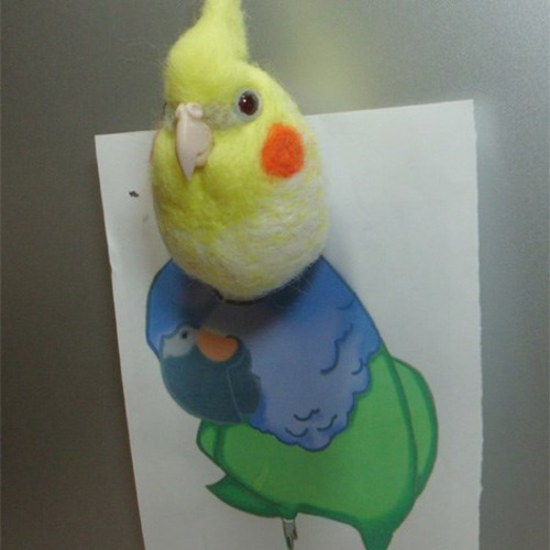 オカメインコ ルチノーパール 羊毛フェルト ☆マグネット/ブローチ