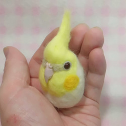 オカメインコ　ＰＦルチノー  羊毛フェルト ☆マグネット/ブローチ どちらか選択 受注作成　羊毛インコ　工房小鳥屋さん 2枚目の画像