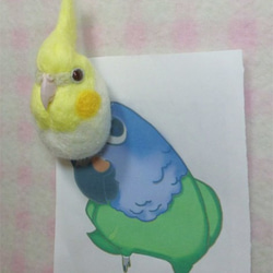 オカメインコ　ＰＦルチノー  羊毛フェルト ☆マグネット/ブローチ どちらか選択 受注作成　羊毛インコ　工房小鳥屋さん 3枚目の画像