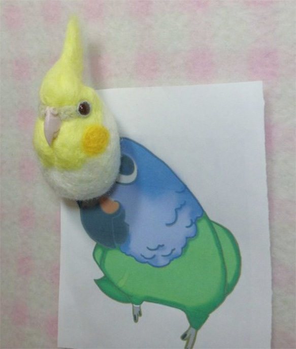 オカメインコ　ＰＦルチノー  羊毛フェルト ☆マグネット/ブローチ どちらか選択 受注作成　羊毛インコ　工房小鳥屋さん 3枚目の画像