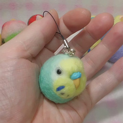 虎皮鸚鵡9★鑰匙扣/手機的魅力/耳機插孔 / Budgerigar9★Key chain/phone charm 第2張的照片