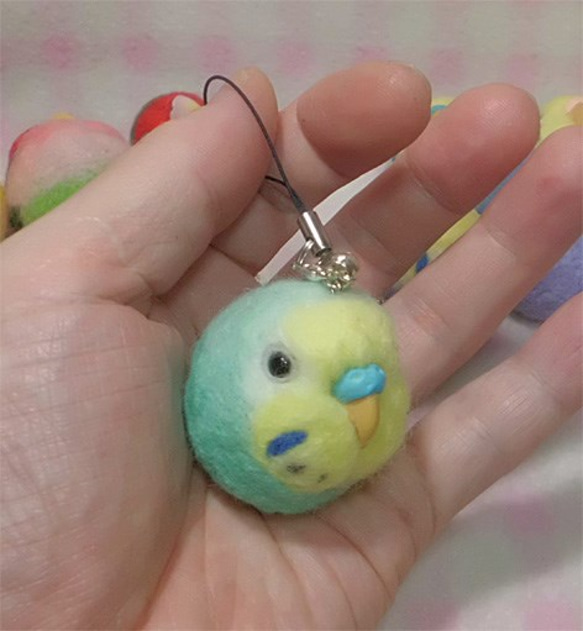 虎皮鸚鵡9★鑰匙扣/手機的魅力/耳機插孔 / Budgerigar9★Key chain/phone charm 第2張的照片