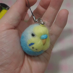 虎皮鸚鵡★鑰匙扣/手機的魅力/耳機插孔 / Budgerigar ★Key chain/phone charm 第1張的照片