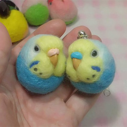 虎皮鸚鵡★鑰匙扣/手機的魅力/耳機插孔 / Budgerigar ★Key chain/phone charm 第4張的照片