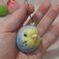 虎皮鸚鵡8★鑰匙扣/手機的魅力/耳機插孔 / Budgerigar8★Key chain/phone charm 第1張的照片