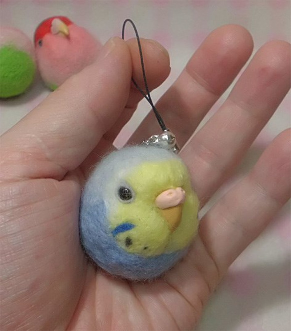 虎皮鸚鵡8★鑰匙扣/手機的魅力/耳機插孔 / Budgerigar8★Key chain/phone charm 第1張的照片