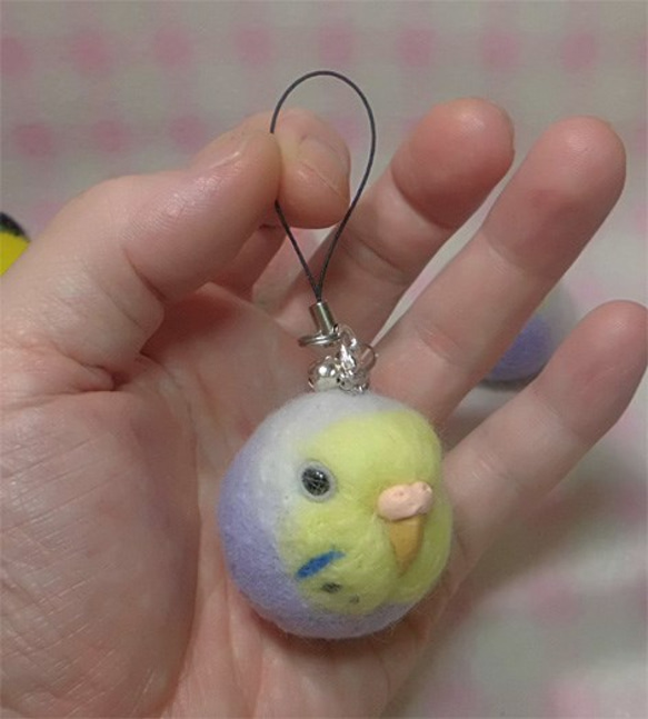 虎皮鸚鵡7★鑰匙扣/手機的魅力/耳機插孔 / Budgerigar 7★Key chain/phone charm 第1張的照片