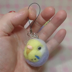 虎皮鸚鵡7★鑰匙扣/手機的魅力/耳機插孔 / Budgerigar 7★Key chain/phone charm 第2張的照片