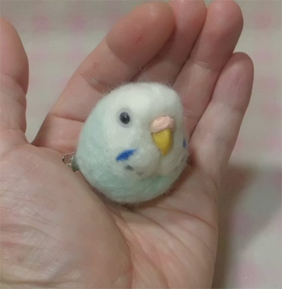 セキセイインコ パステルブルーオパーリン☆マグネット/ブローチどちらか選択　受注作成　うちのこオーダー可能　羊毛フェルト 2枚目の画像