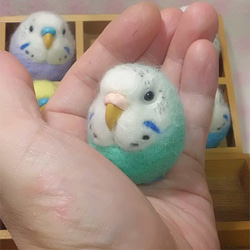 セキセイインコ ミントブルーオパーリン☆マグネット/ブローチどちらか選択　受注作成　うちのこオーダー可能　羊毛フェルト 1枚目の画像