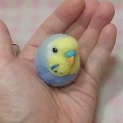 セキセイインコ  レインボー 羊毛フェルト☆マグネット/ブローチどちらか選択 受注作成　うちのこオーダー可能　羊毛インコ 1枚目の画像