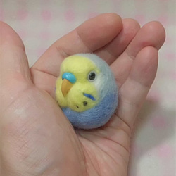 セキセイインコ  レインボー 羊毛フェルト☆マグネット/ブローチどちらか選択 受注作成　うちのこオーダー可能　羊毛インコ 2枚目の画像