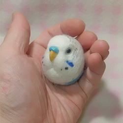 羊毛フェルト ハルクイン セキセイインコ☆マグネット/ブローチどちらか選択 受注作成　うちのこオーダー可能 1枚目の画像