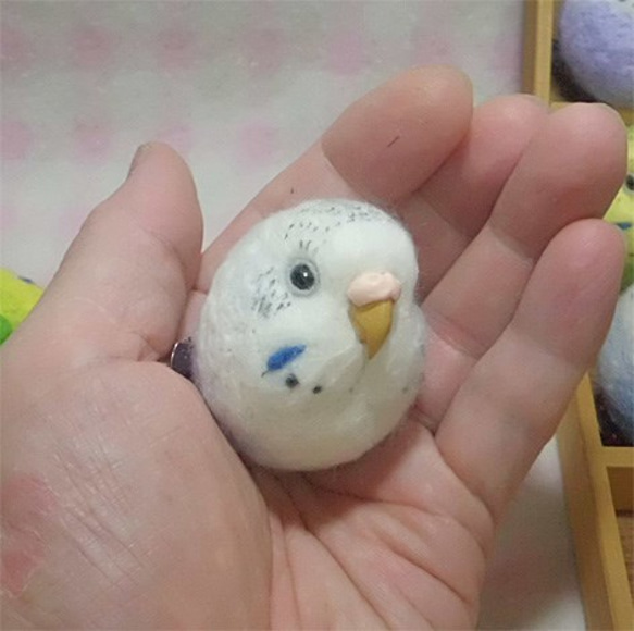 パステルバイオレットハルクイン セキセイインコ☆マグネット/ブローチどちらか選択 受注作成　うちのこオーダー可能 2枚目の画像