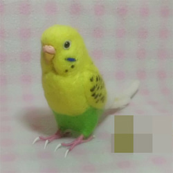 ほぼライフサイズ♪ セキセイインコ イエロ－ハルクイン 羊毛フェルト　受注作成　鼻の色変更可能　羊毛インコ　メモリアル 2枚目の画像