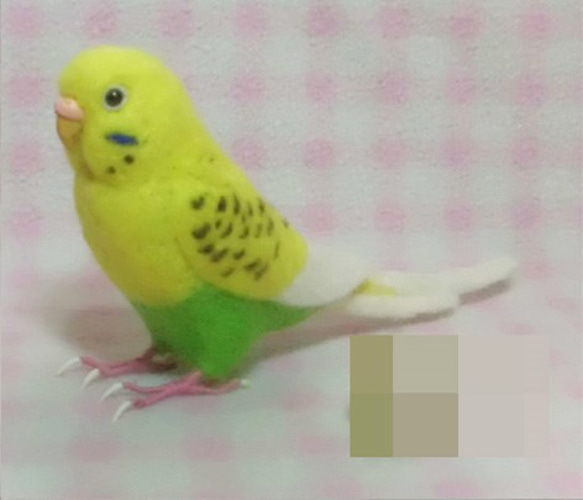 ほぼライフサイズ♪ セキセイインコ イエロ－ハルクイン 羊毛フェルト　受注作成　鼻の色変更可能　羊毛インコ　メモリアル 3枚目の画像