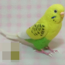 ほぼライフサイズ♪ セキセイインコ イエロ－ハルクイン 羊毛フェルト　受注作成　鼻の色変更可能　羊毛インコ　メモリアル 4枚目の画像