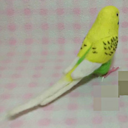 ***現實大小♪虎皮鸚鵡4☆羊毛氈***Budgerigar4 第5張的照片