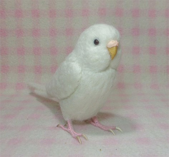 ライフサイズ♪ セキセイインコ アルビノ（濃い赤目） 羊毛フェルト　目・鼻の色変更可能　受注作成　羊毛インコ 2枚目の画像