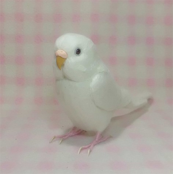 ライフサイズ♪ セキセイインコ アルビノ（濃い赤目） 羊毛フェルト　目・鼻の色変更可能　受注作成　羊毛インコ 3枚目の画像