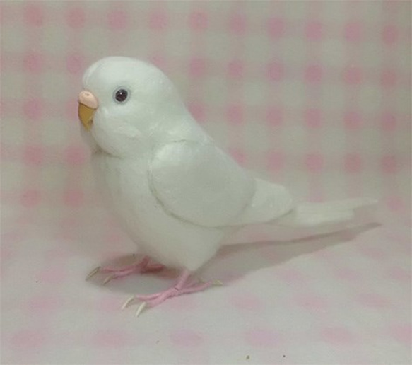 ライフサイズ♪ セキセイインコ アルビノ（濃い赤目） 羊毛フェルト　目・鼻の色変更可能　受注作成　羊毛インコ 4枚目の画像